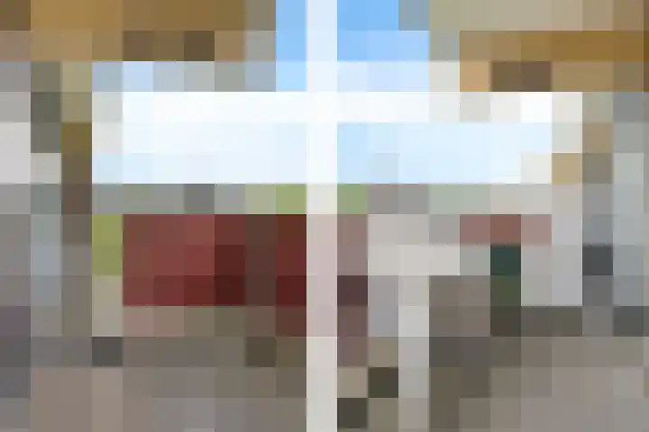 Laveibos 55 Zoetermeer thumbnail 35