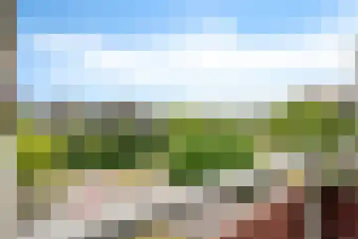 Laveibos 55 Zoetermeer thumbnail 36