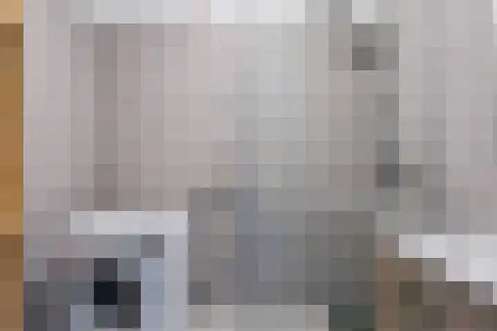 Laveibos 55 Zoetermeer thumbnail 37