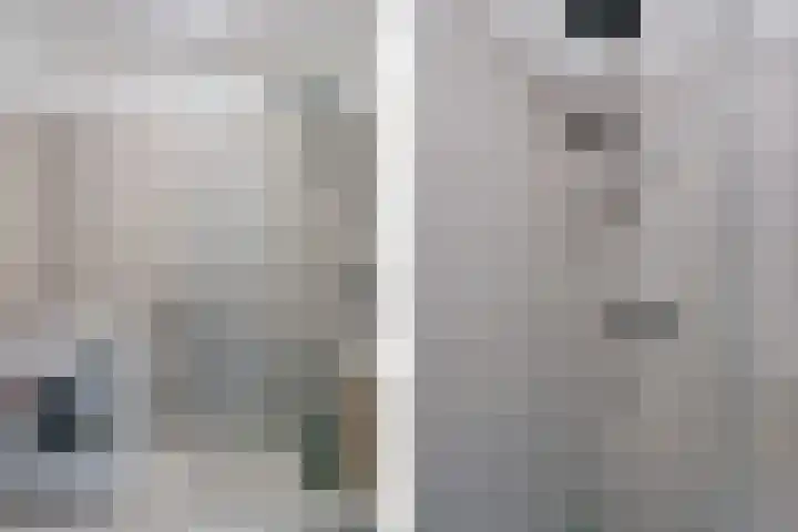 Laveibos 55 Zoetermeer thumbnail 39