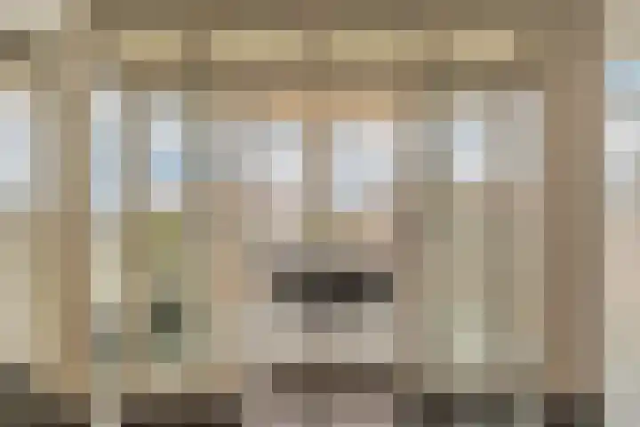 Laveibos 55 Zoetermeer thumbnail 40