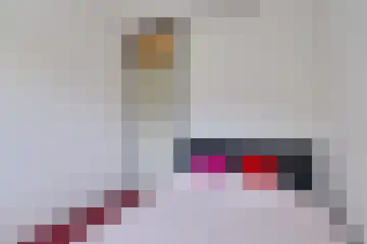 Laveibos 55 Zoetermeer thumbnail 42