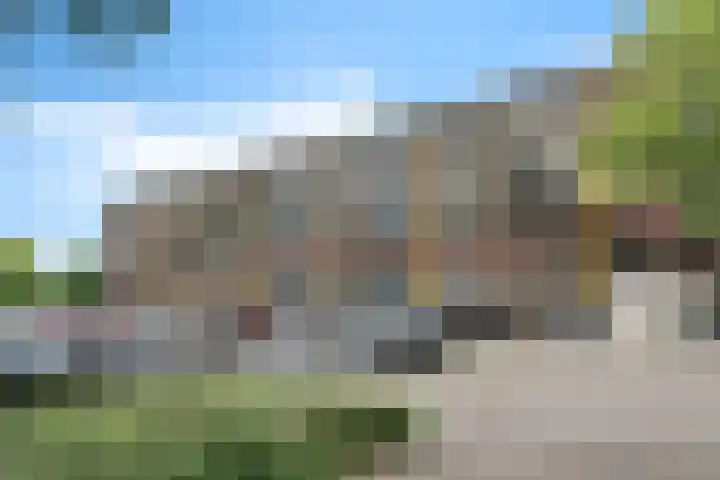 Laveibos 55 Zoetermeer thumbnail 43