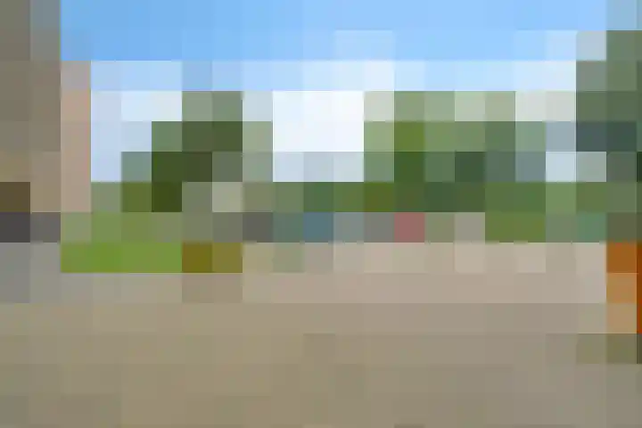 Laveibos 55 Zoetermeer thumbnail 44
