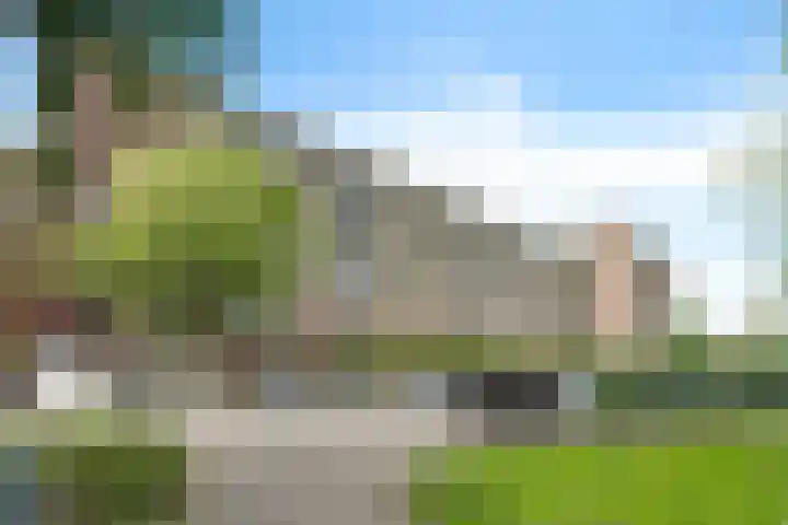 Laveibos 55 Zoetermeer thumbnail 46