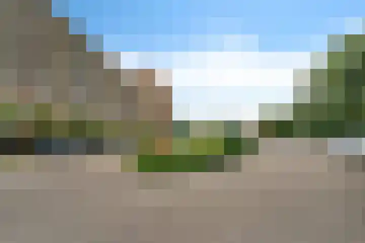 Laveibos 55 Zoetermeer thumbnail 47