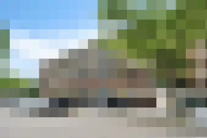 Laveibos 55 Zoetermeer thumbnail 5