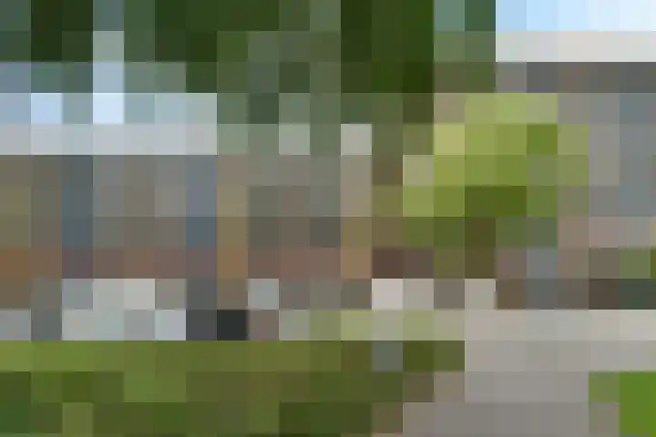 Laveibos 55 Zoetermeer thumbnail 6