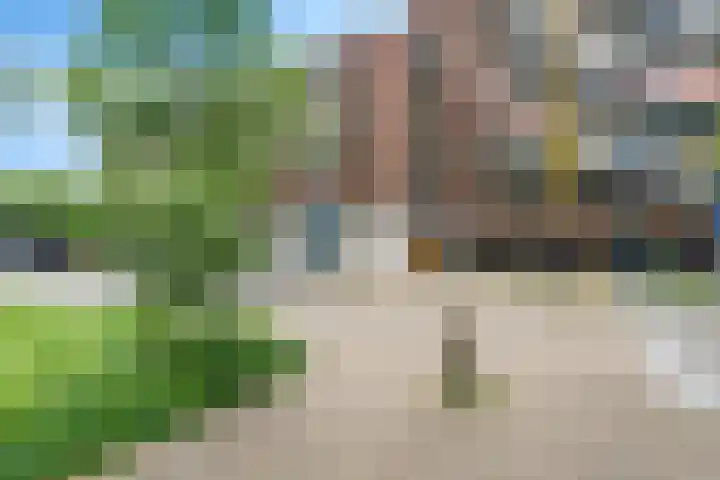 Laveibos 55 Zoetermeer thumbnail 7