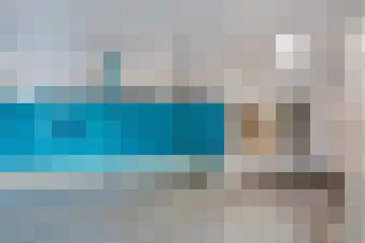 Laveibos 55 Zoetermeer thumbnail 8