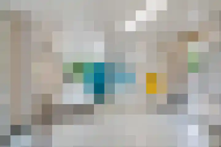 Laveibos 55 Zoetermeer thumbnail 9