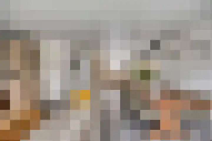 Lavendel 1 Oost West en Middelbeers thumbnail 10