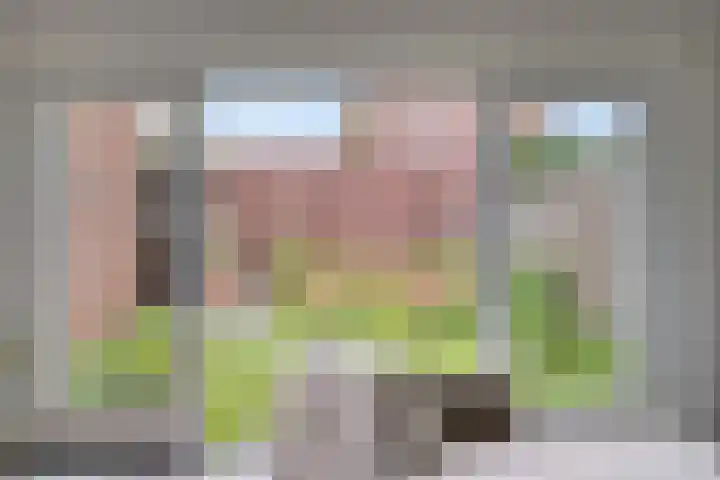 Lavendel 1 Oost West en Middelbeers thumbnail 15