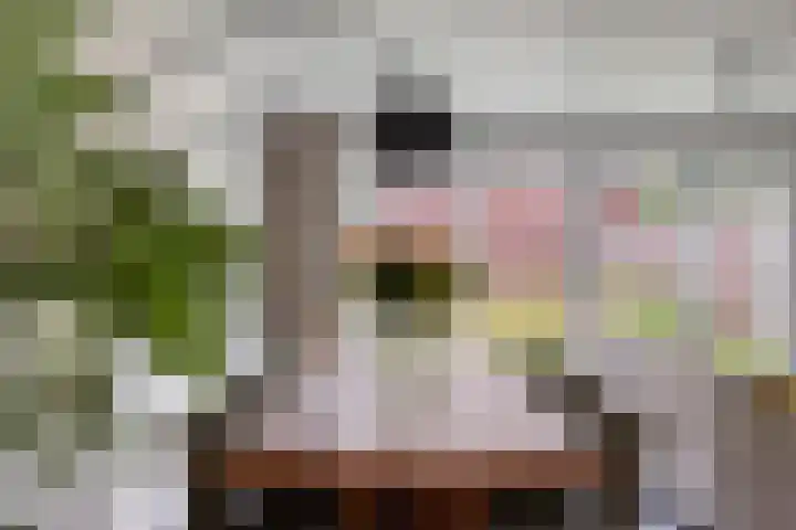 Lavendel 1 Oost West en Middelbeers thumbnail 16