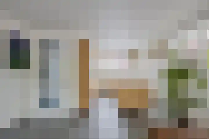 Lavendel 1 Oost West en Middelbeers thumbnail 17