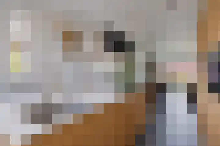 Lavendel 1 Oost West en Middelbeers thumbnail 20