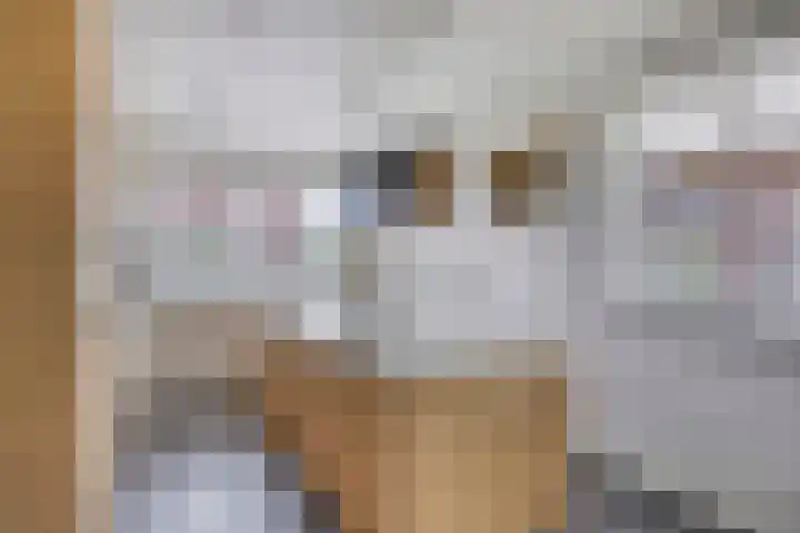Lavendel 1 Oost West en Middelbeers thumbnail 22