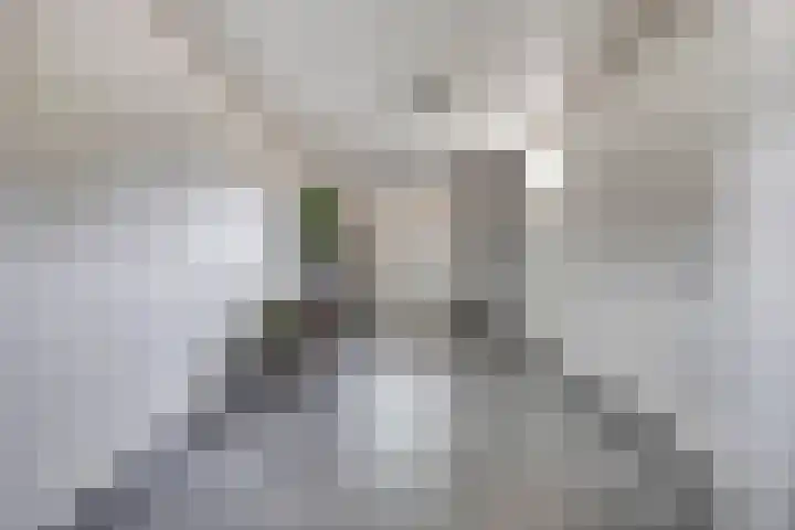 Lavendel 1 Oost West en Middelbeers thumbnail 24