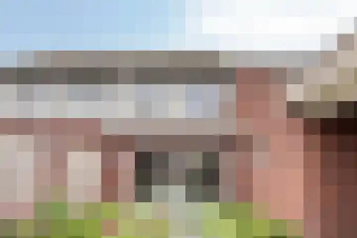 Lavendel 1 Oost West en Middelbeers thumbnail 40