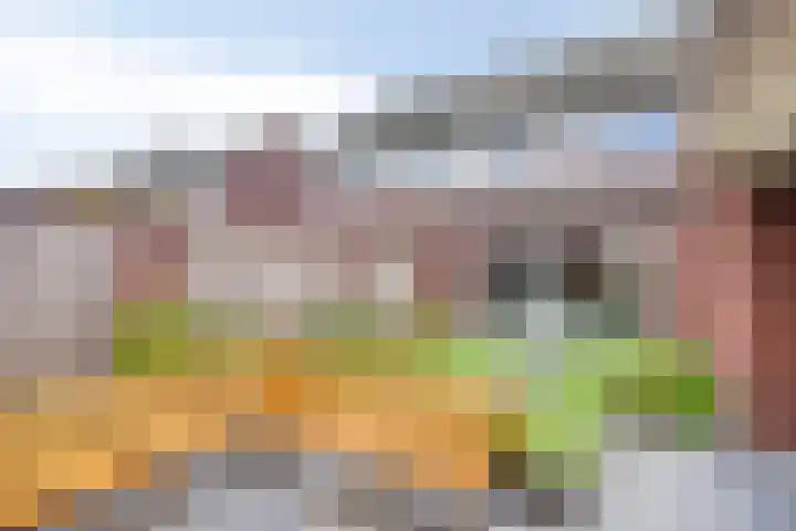 Lavendel 1 Oost West en Middelbeers thumbnail 41