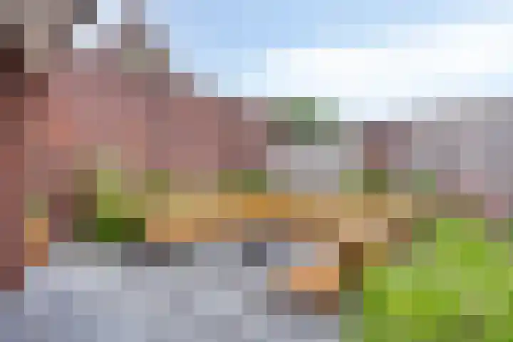 Lavendel 1 Oost West en Middelbeers thumbnail 42