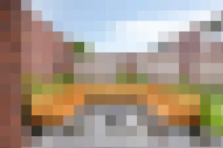 Lavendel 1 Oost West en Middelbeers thumbnail 43