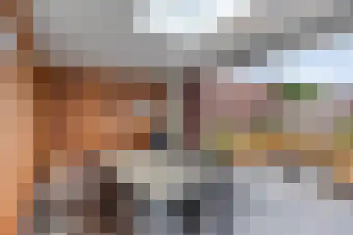 Lavendel 1 Oost West en Middelbeers thumbnail 44