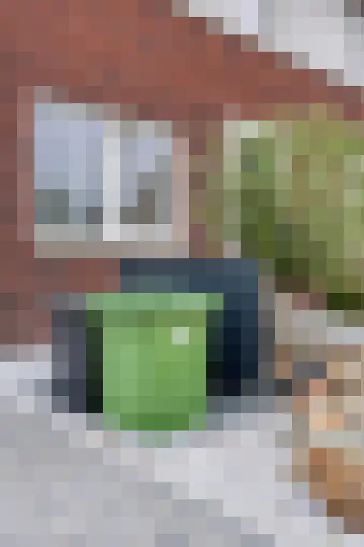 Lavendel 1 Oost West en Middelbeers thumbnail 48