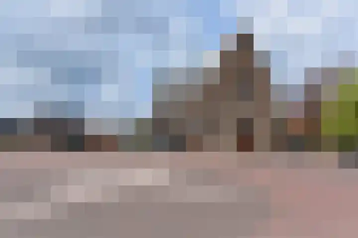 Lavendel 1 Oost West en Middelbeers thumbnail 49