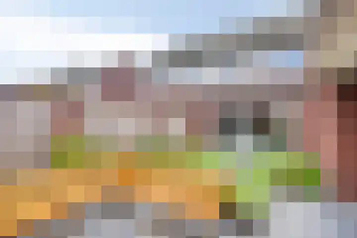 Lavendel 1 Oost West en Middelbeers thumbnail 5
