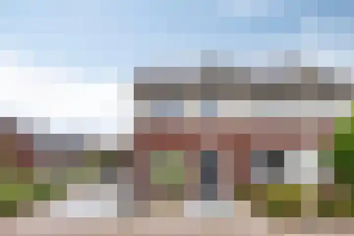 Lavendel 1 Oost West en Middelbeers thumbnail 50
