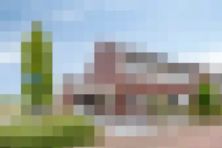 Lavendel 1 Oost West en Middelbeers thumbnail 55