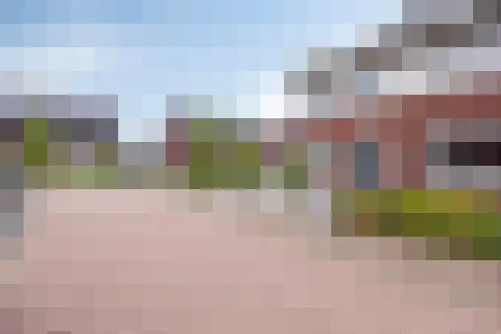 Lavendel 1 Oost West en Middelbeers thumbnail 6