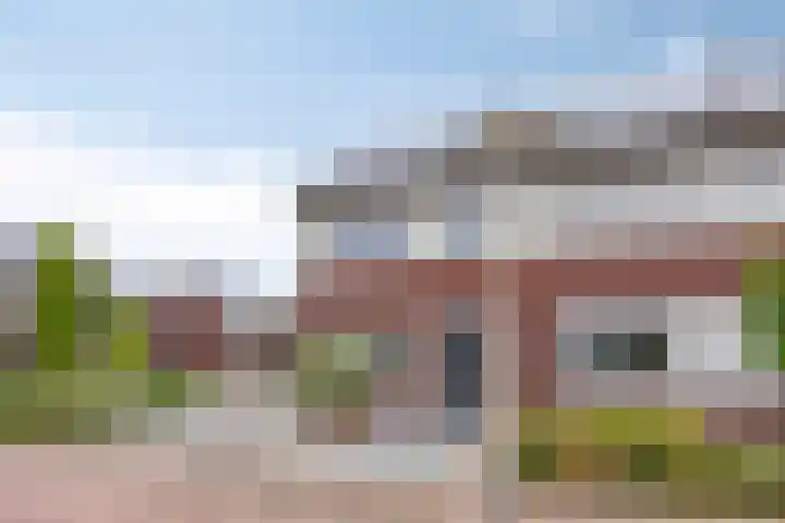 Lavendel 1 Oost West en Middelbeers thumbnail 7
