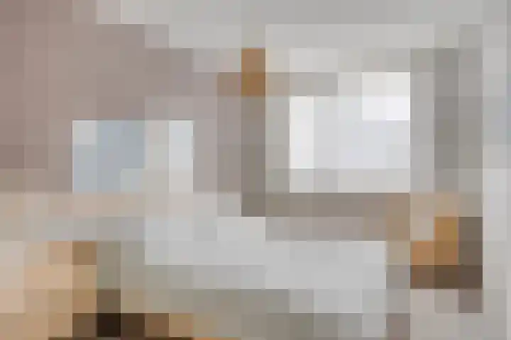 Lavendel 11 Raalte thumbnail 14
