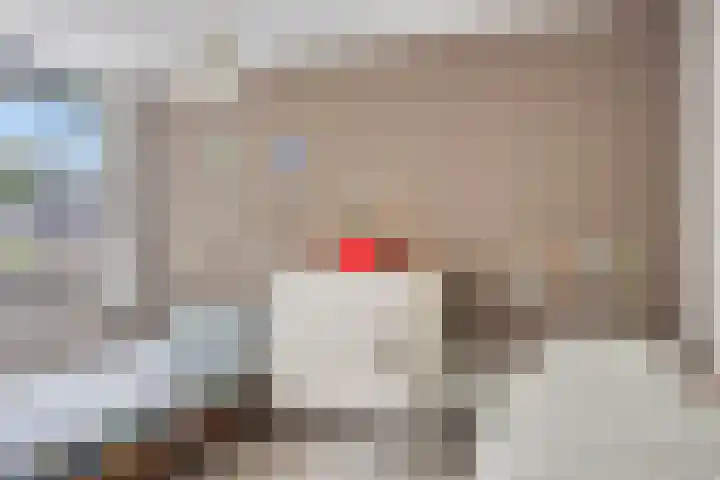 Lavendel 11 Raalte thumbnail 16