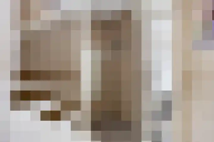 Lavendel 11 Raalte thumbnail 17