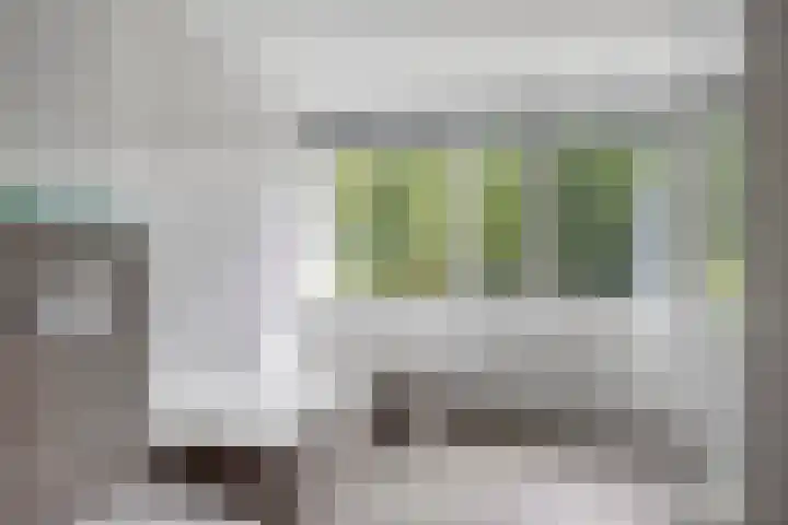 Lavendel 11 Raalte thumbnail 18