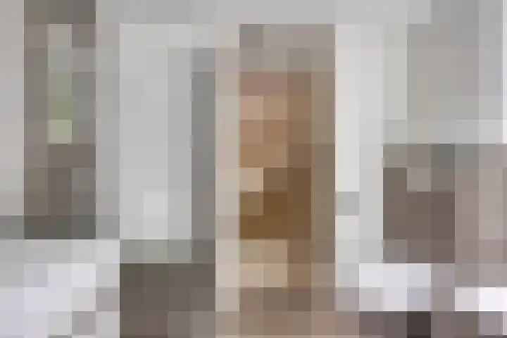 Lavendel 11 Raalte thumbnail 19