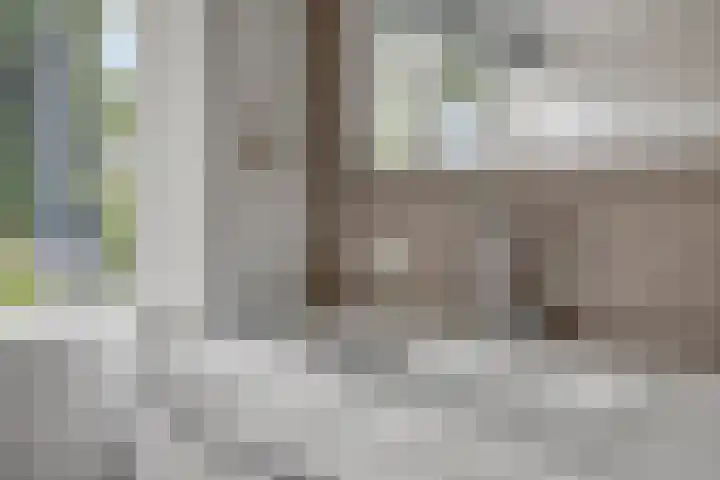 Lavendel 11 Raalte thumbnail 20