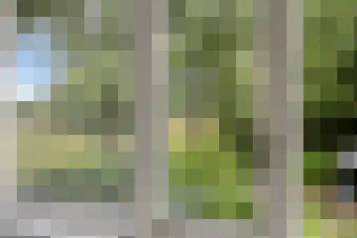 Lavendel 11 Raalte thumbnail 21