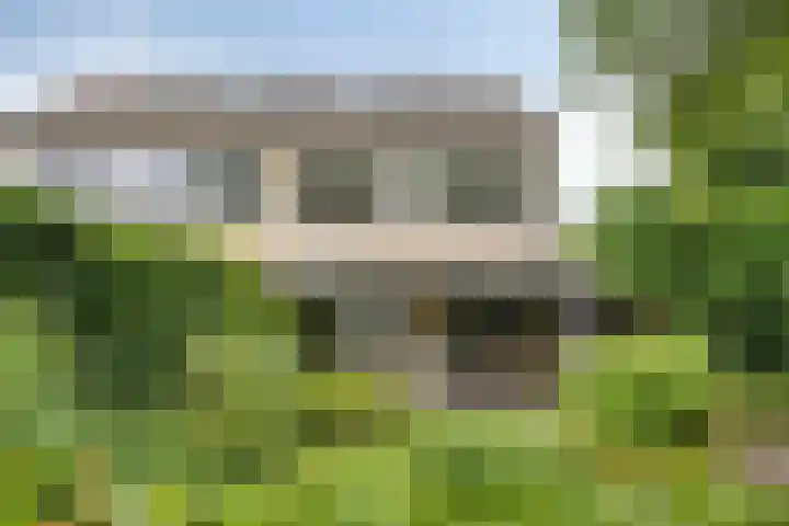 Lavendel 11 Raalte thumbnail 22