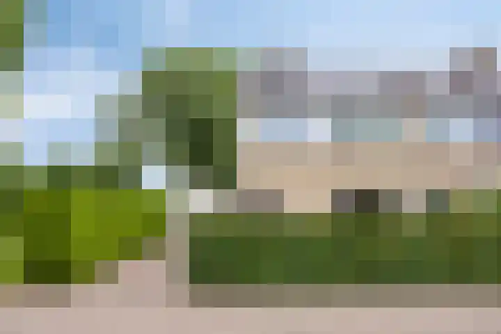 Lavendel 11 Raalte thumbnail 23