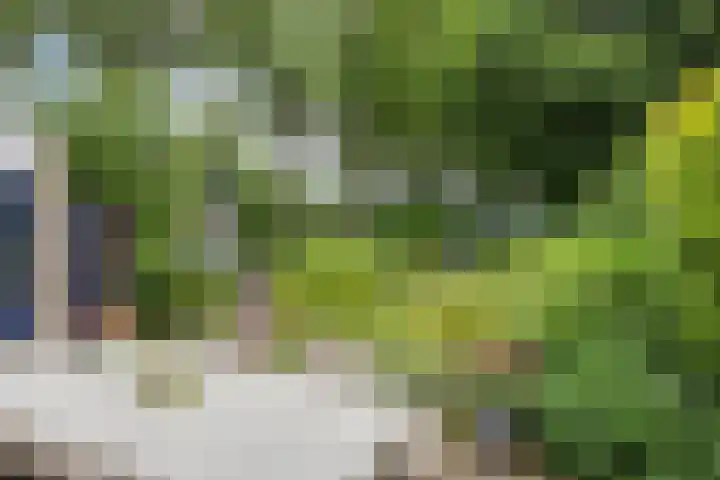 Lavendel 11 Raalte thumbnail 24