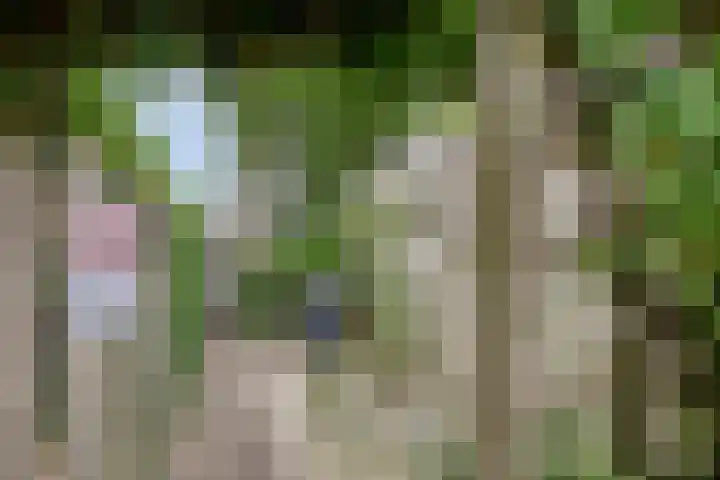 Lavendel 11 Raalte thumbnail 31