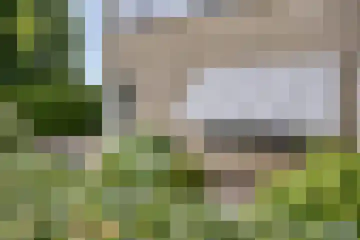 Lavendel 11 Raalte thumbnail 33