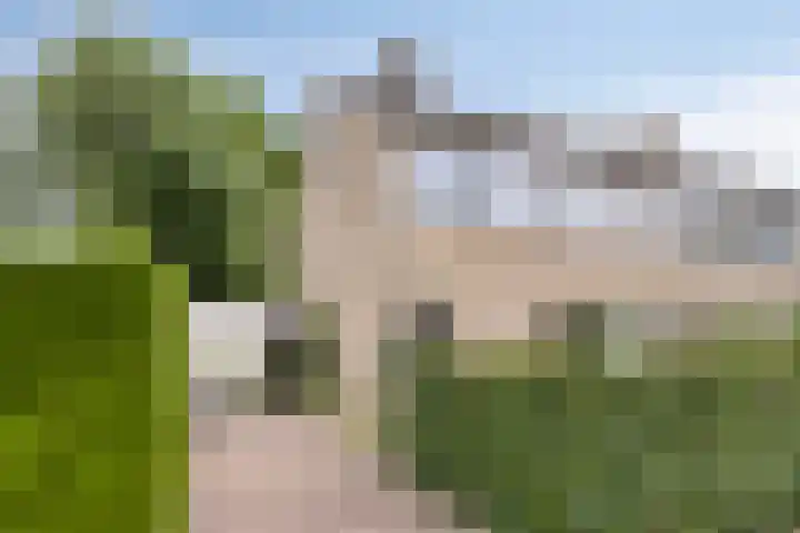 Lavendel 11 Raalte thumbnail 34
