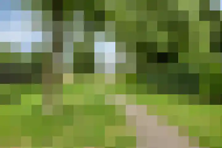 Lavendel 11 Raalte thumbnail 37