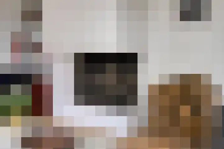 Lavendel 11 Raalte thumbnail 5
