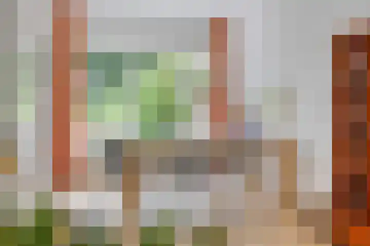 Lavendel 11 Raalte thumbnail 7